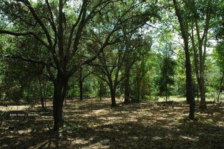 Looking for a double lot to build your dream home on? This .36 acre parcel located in rural, secluded Florida Naturist Park is your lot! well and septic needed. Centrally located in Hudson, you're only minutes from beaches, amazing restaurants and shopping. This lot is only a short drive from some of the best hunting, fishing and scalloping in the state and all that makes Pasco County a wonderful place to live and work. While life in Pasco County moves at a slower pace, do not drag your feet on this one or you will miss out.