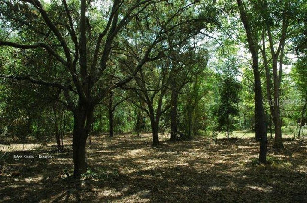 Photo of Grandville Avenue, Hudson, FL 34669 (MLS # A4663403)