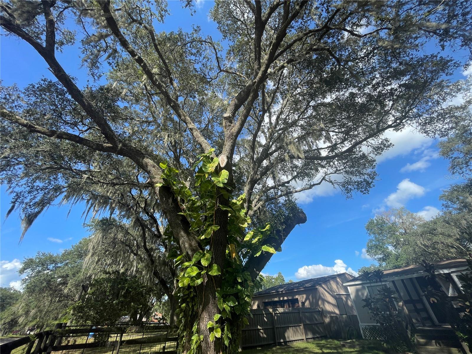 LAKESIDE ESTATES - Residential Lease