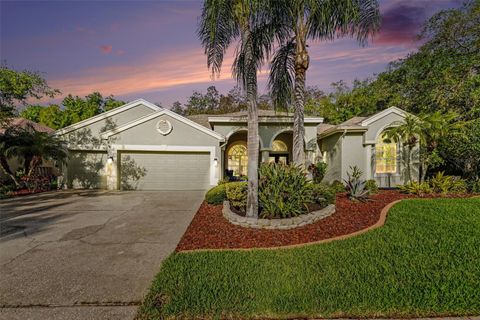 4491 FALLBROOK BOULEVARD PALM HARBOR FL 34685