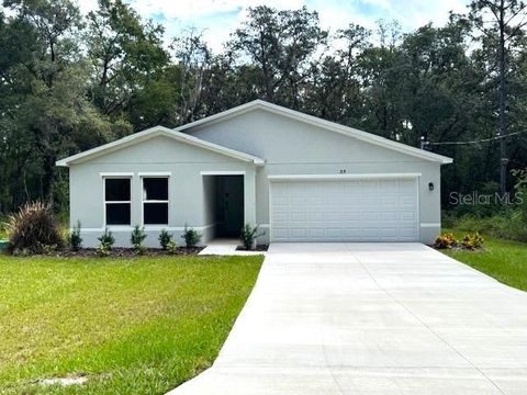 Photo of 35 Bay Court Pass, Ocklawaha, FL 32179 (MLS # C7508404)