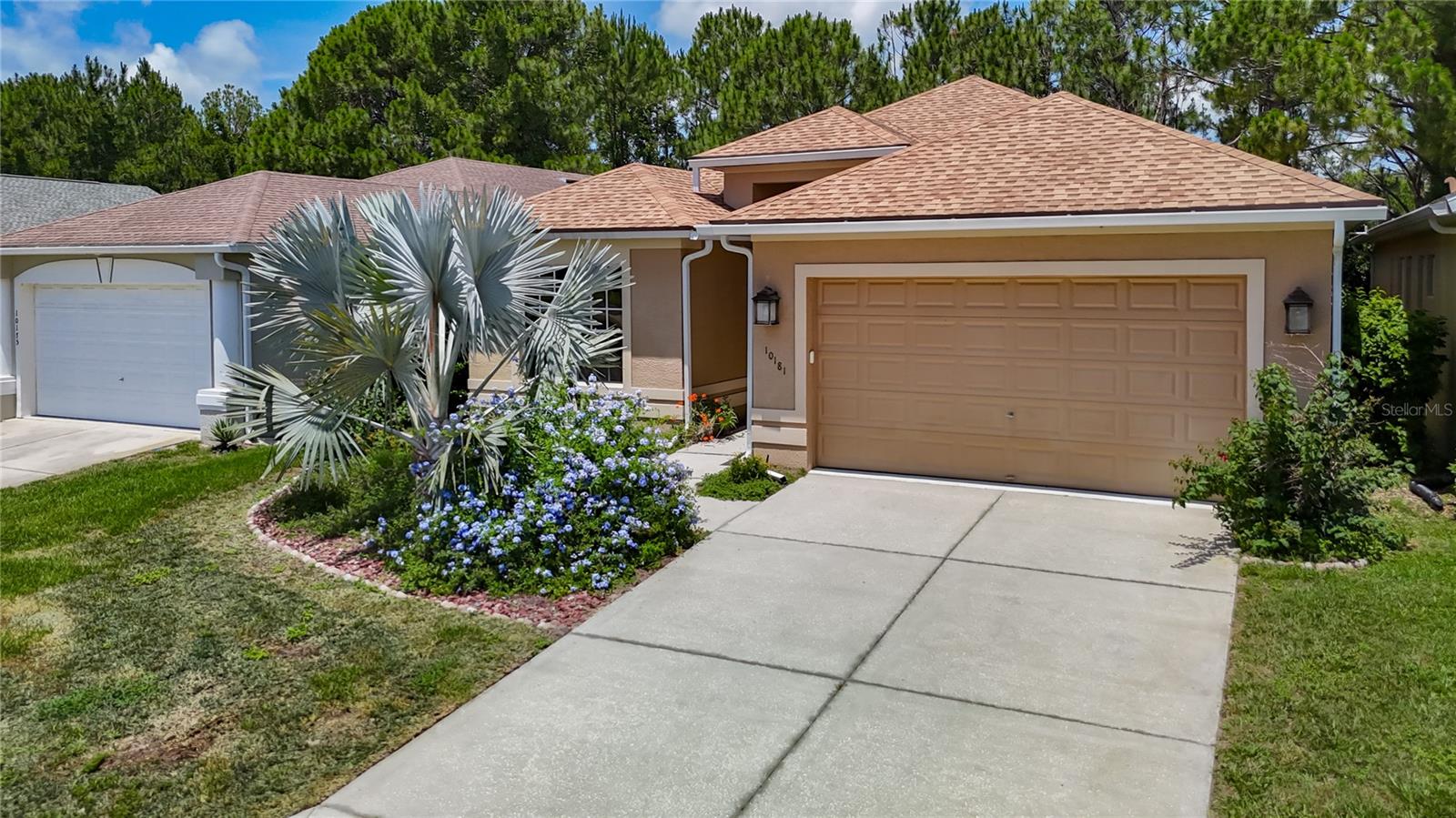 10181 HOLLY BERRY DRIVE