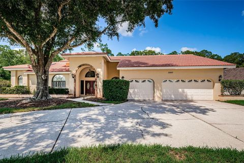 A home in PALM HARBOR