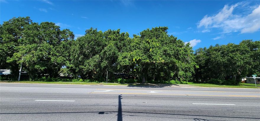 Corner Lot!!!Build Your Dream Home and Invest in Prime Real Estate! Corner Lot with Seller Financing Available! Don’t miss this exceptional opportunity to build your dream home on a prime corner lot! These two approved and permitted lots are ready for immediate construction, eliminating extra work and delays. Key Features: Prime Location: Conveniently located near Osceola Parkway, Turnpike, E. Irlo Bronson, major roads, and shopping centers. Ready to Build: Permits and county approvals are already in place, so you can start building your dream home right away. No HOA: Enjoy the freedom of no Homeowners Association restrictions. Whether you’re a home buyer, land buyer, or investor, this opportunity is perfect for you. With seller financing available, making this investment is easier than ever. What are you waiting for? Start building your future today! 2 Lots are avaliable for sale. Tax ID: MICHIGAN OAKS PB 29 PG 168 LOT 1 15-25-29-4131-0001-0010 ///// MICHIGAN OAKS PB 29 PG 168 LOT 2 15-25-29-4131-0001-0020