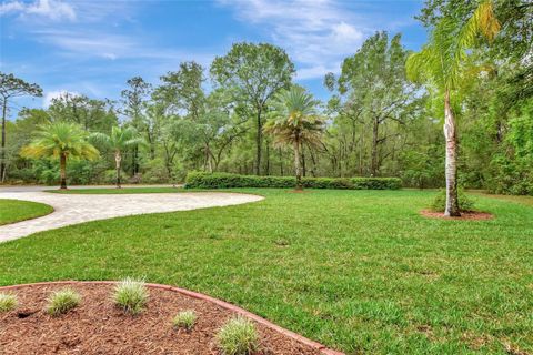 A home in DELAND