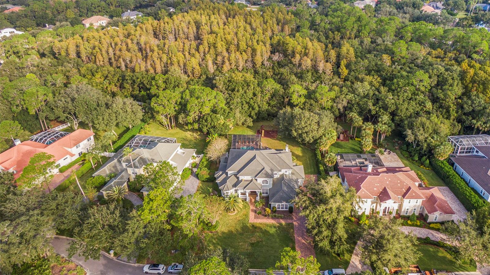 TAMPA PALMS 4A UNIT 2B5 - Residential