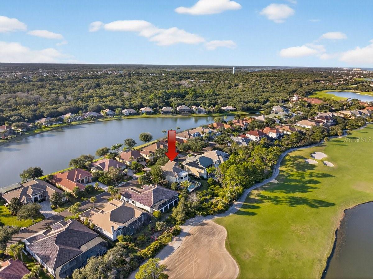 OCEAN HAMMOCK - Residential