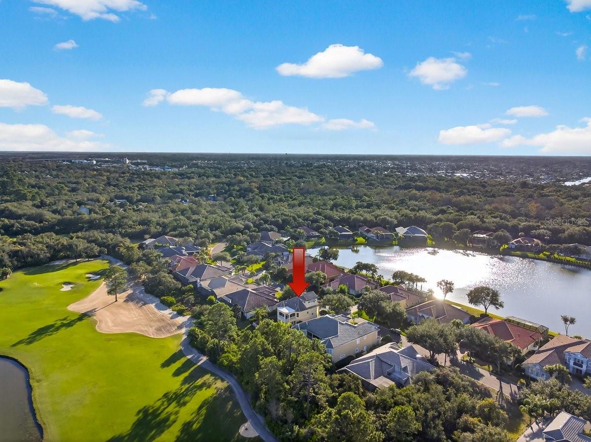 OCEAN HAMMOCK - Residential