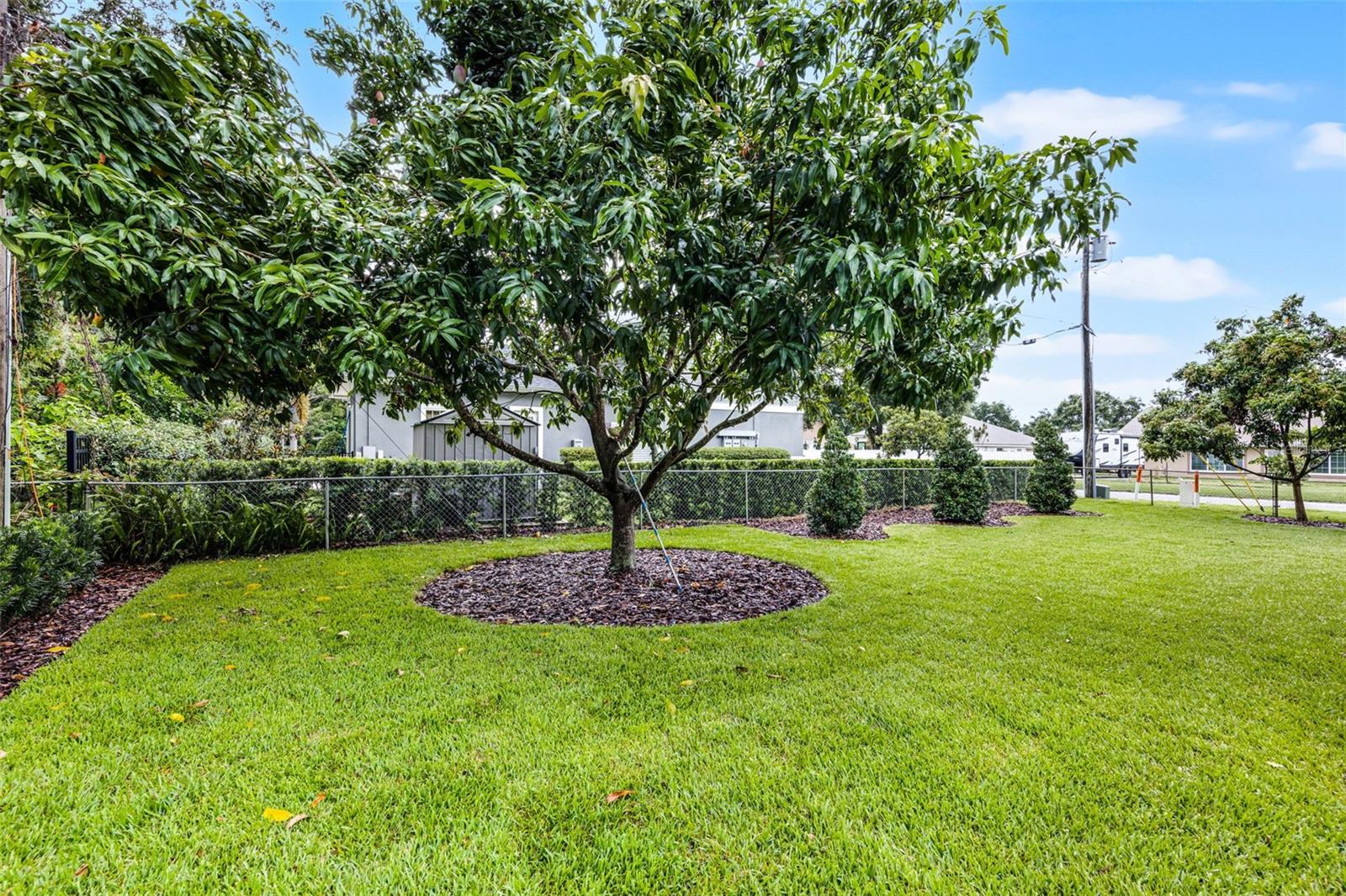 SHOWALTER PARK - Residential