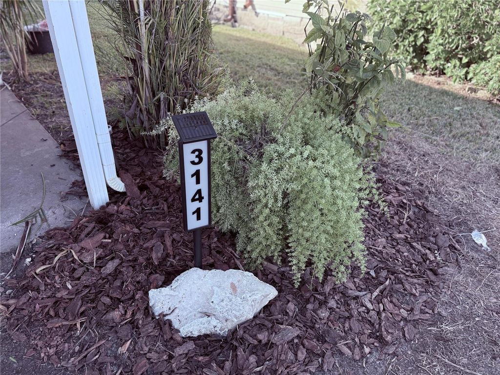 Photo of 3141 Great Oak St, Wesley Chapel, FL 33543 (MLS # TB8448670)