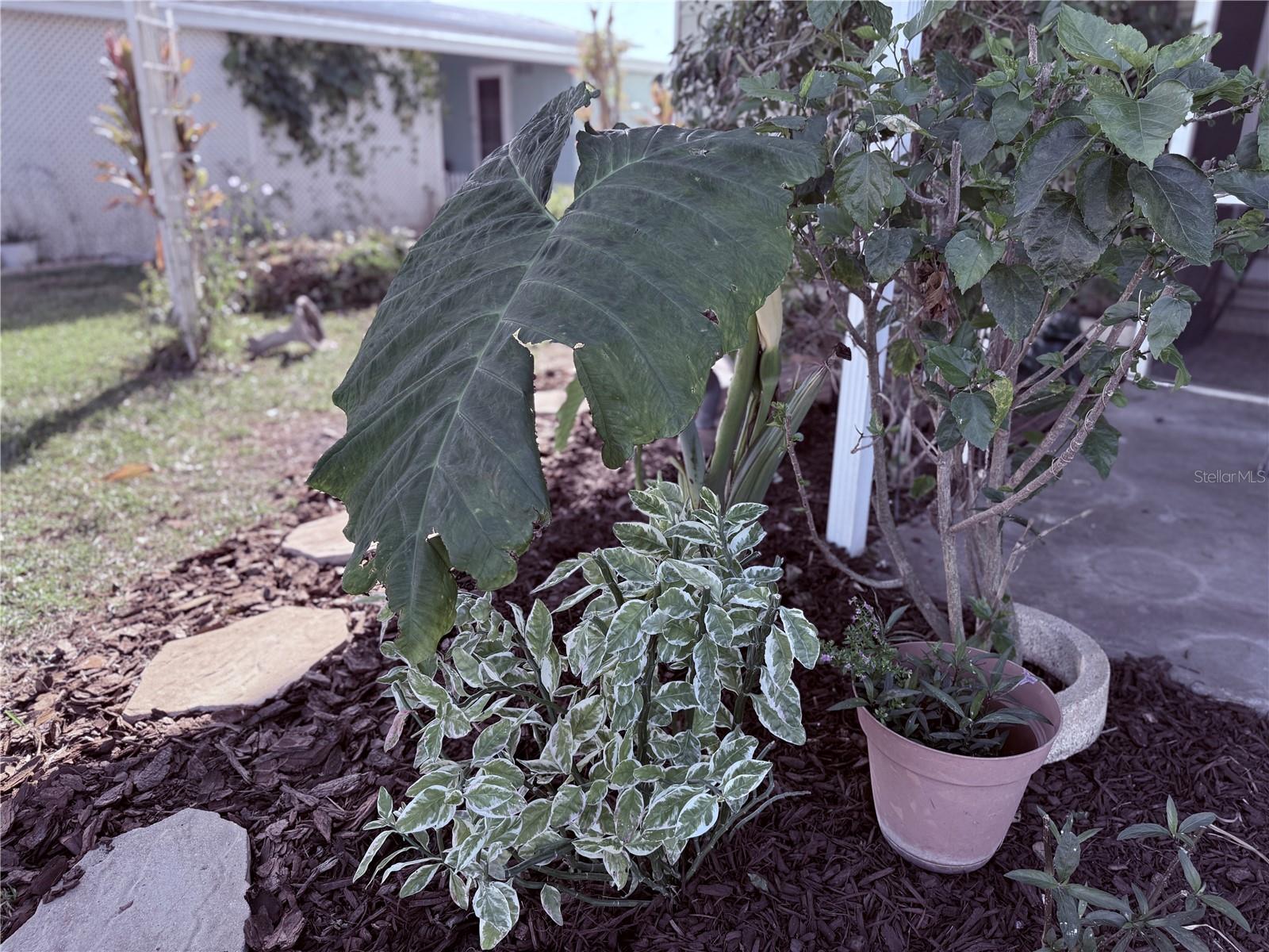 TIMBER LAKE ESTATES - Residential