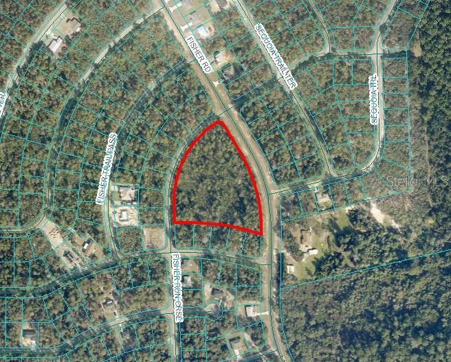 **IMPROVED PRICE** Dreaming of your own piece of Florida paradise? This 3.71-acre property on Fisher Rd in Ocklawaha, nestled between Ocala and The Villages, offers the perfect opportunity. Zoned R-1 for single-family homes, it's a buildable lot ready for your vision—ideal for a peaceful weekend escape or a full-time residence away from the city. Located outside of an HOA and sitting high and dry, the land features paved road access and plenty of space to create the home you’ve always wanted. Whether you're ready to build now or looking to invest for the future, this property combines privacy, flexibility, and long-term potential in a growing area.