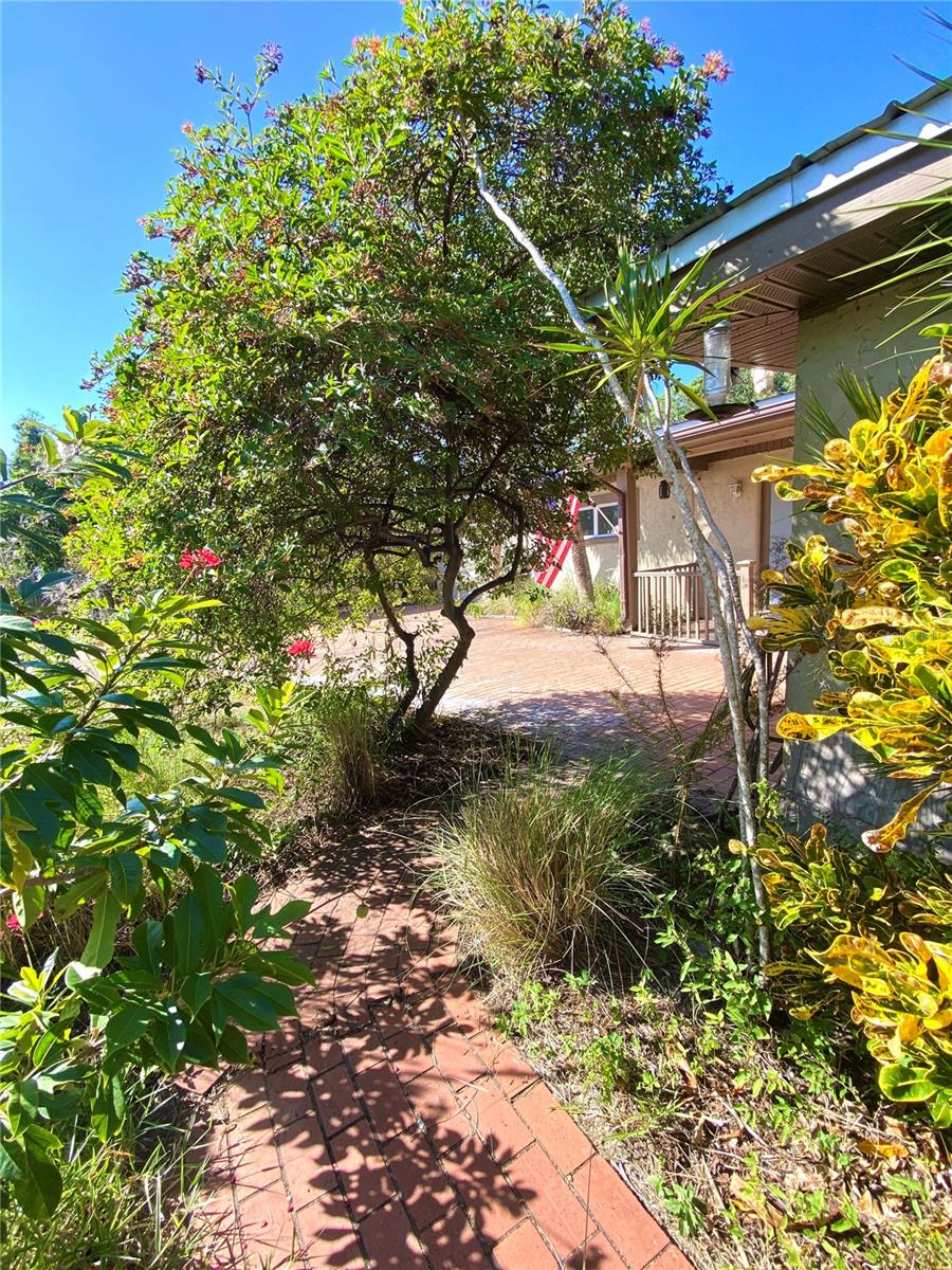 2040 JAVA PLUM AVENUE