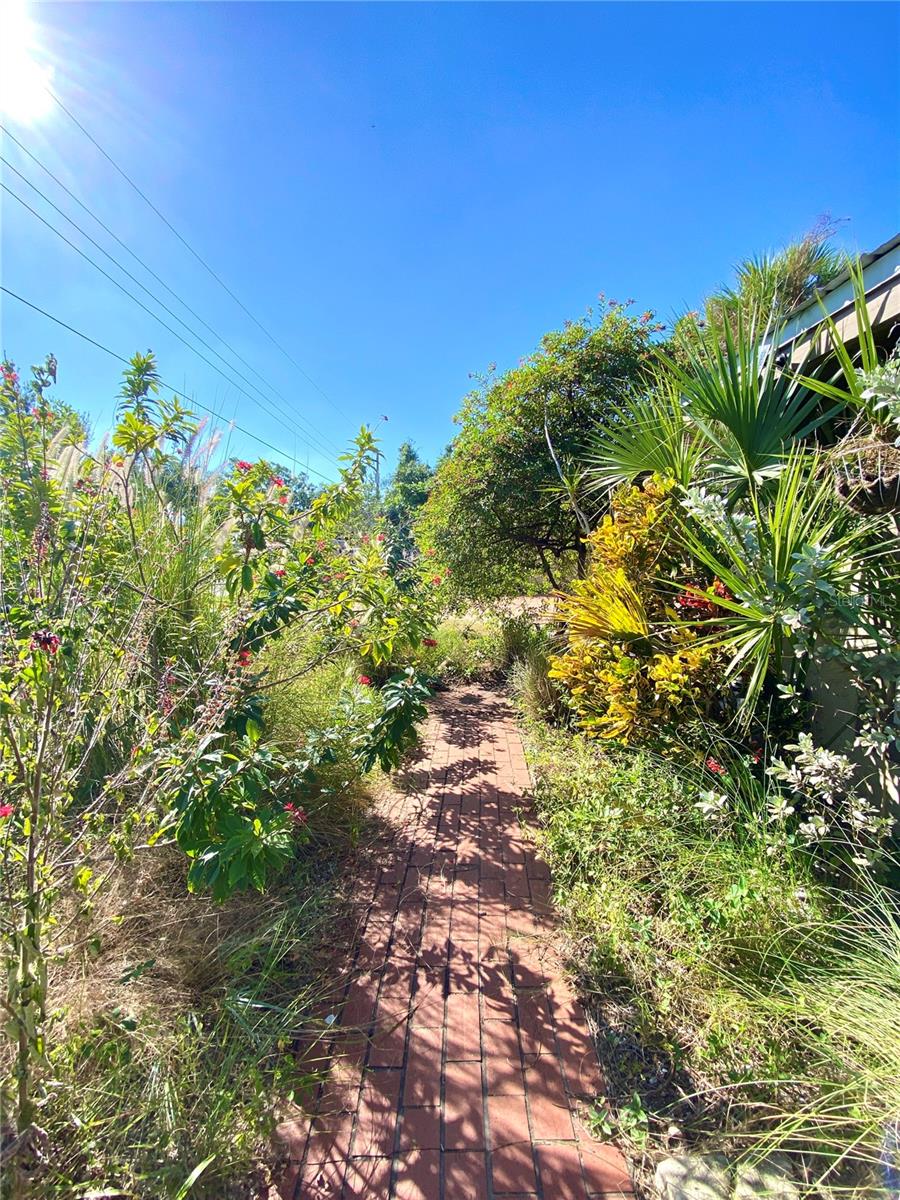 2040 JAVA PLUM AVENUE