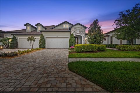 4195 BARLETTA COURT WESLEY CHAPEL FL 33543