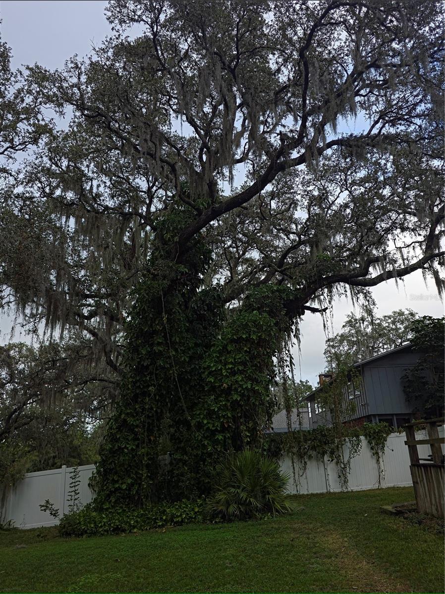 GOLFVIEW SUB - Residential