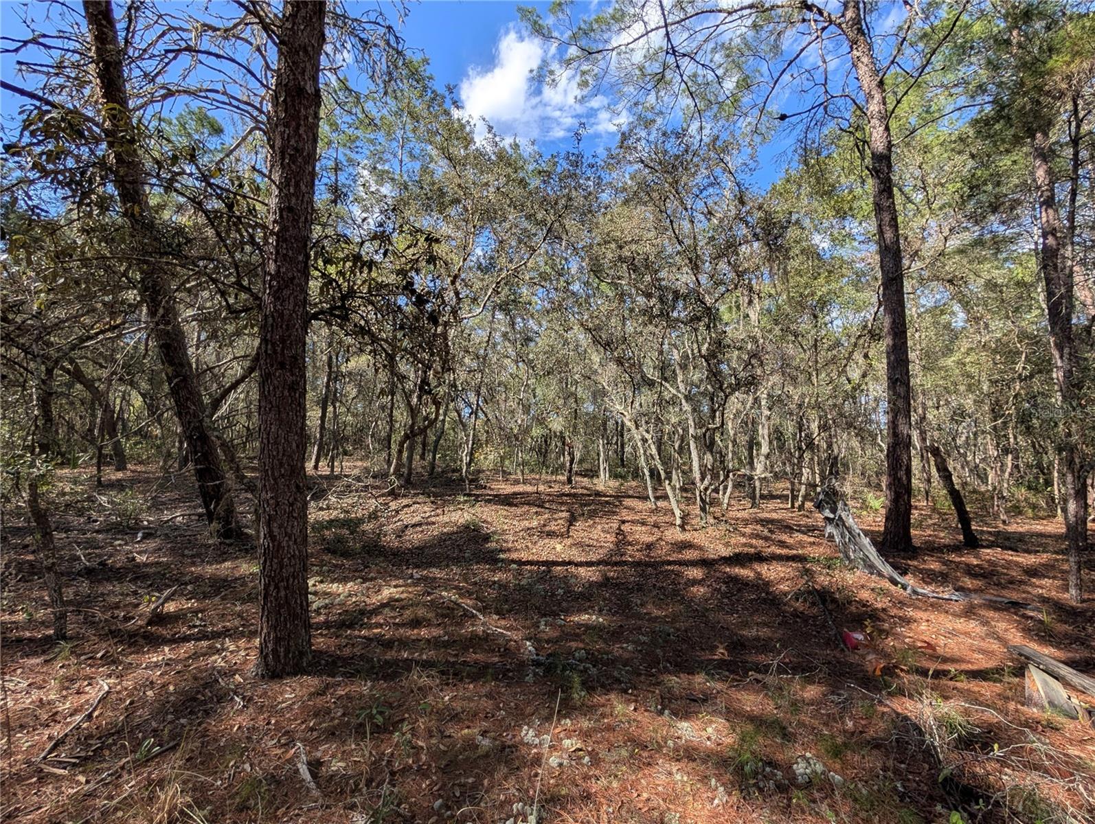 ST JOHNS RIVERSIDE ESTATES - Land