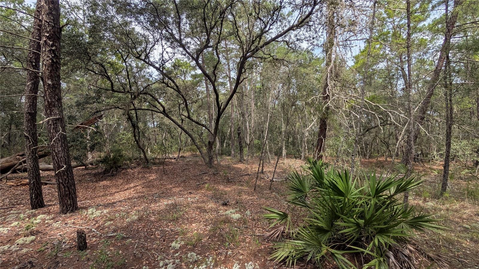 120 & 122 NORTH CAROLINA DRIVE