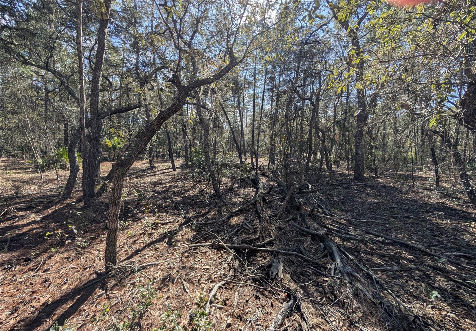 ST JOHNS RIVERSIDE ESTATES - Land