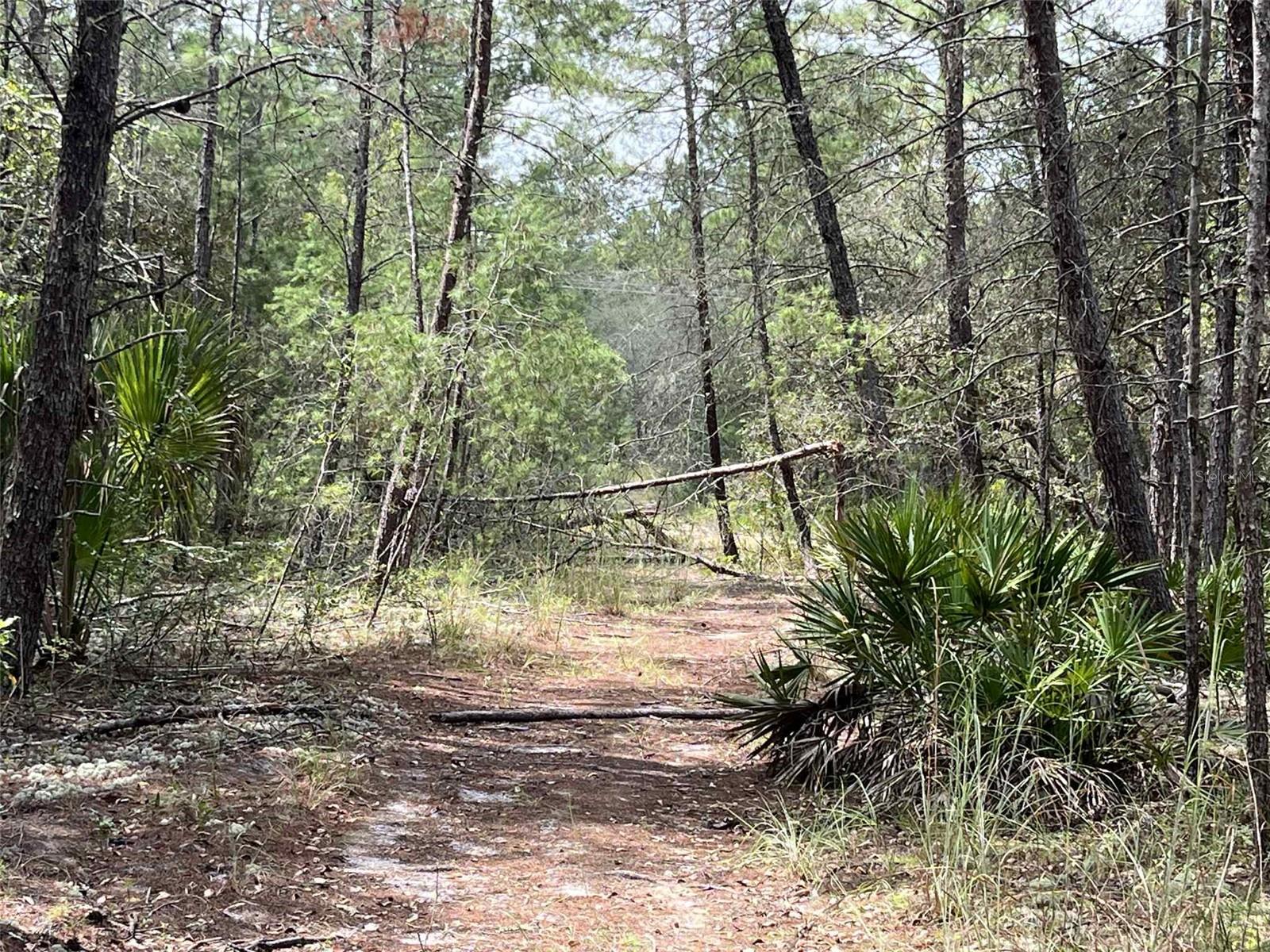 ST JOHNS RIVERSIDE ESTATES - Land