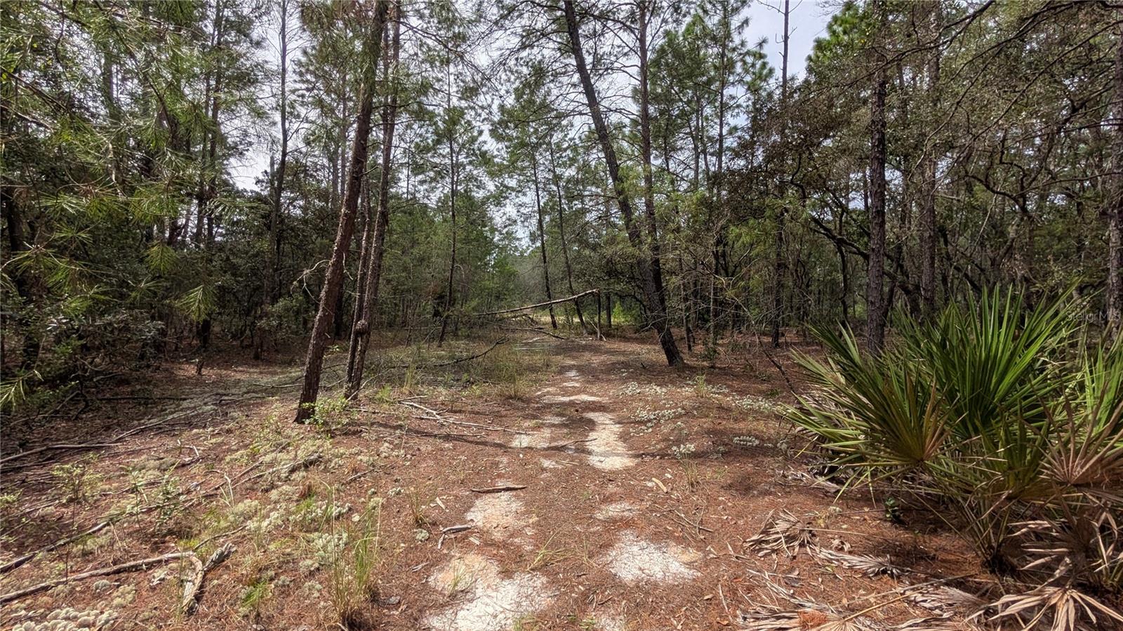 ST JOHNS RIVERSIDE ESTATES - Land