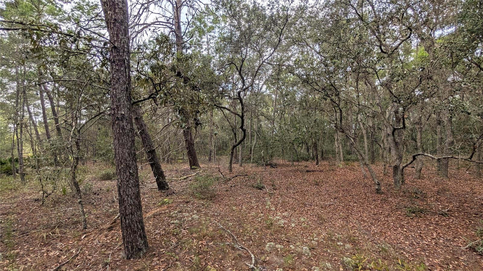 120 & 122 NORTH CAROLINA DRIVE