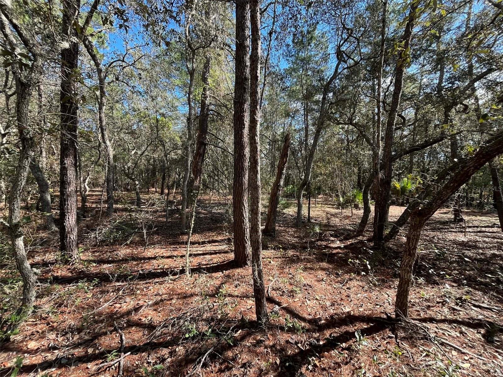 ST JOHNS RIVERSIDE ESTATES - Land