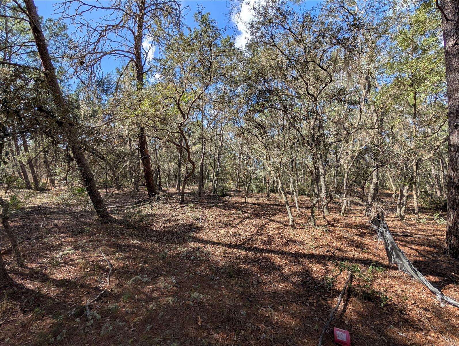 ST JOHNS RIVERSIDE ESTATES - Land