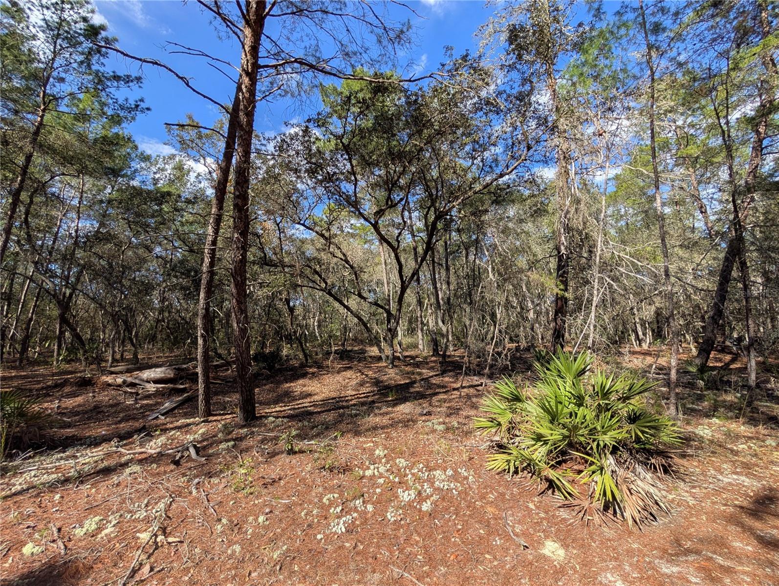 ST JOHNS RIVERSIDE ESTATES - Land