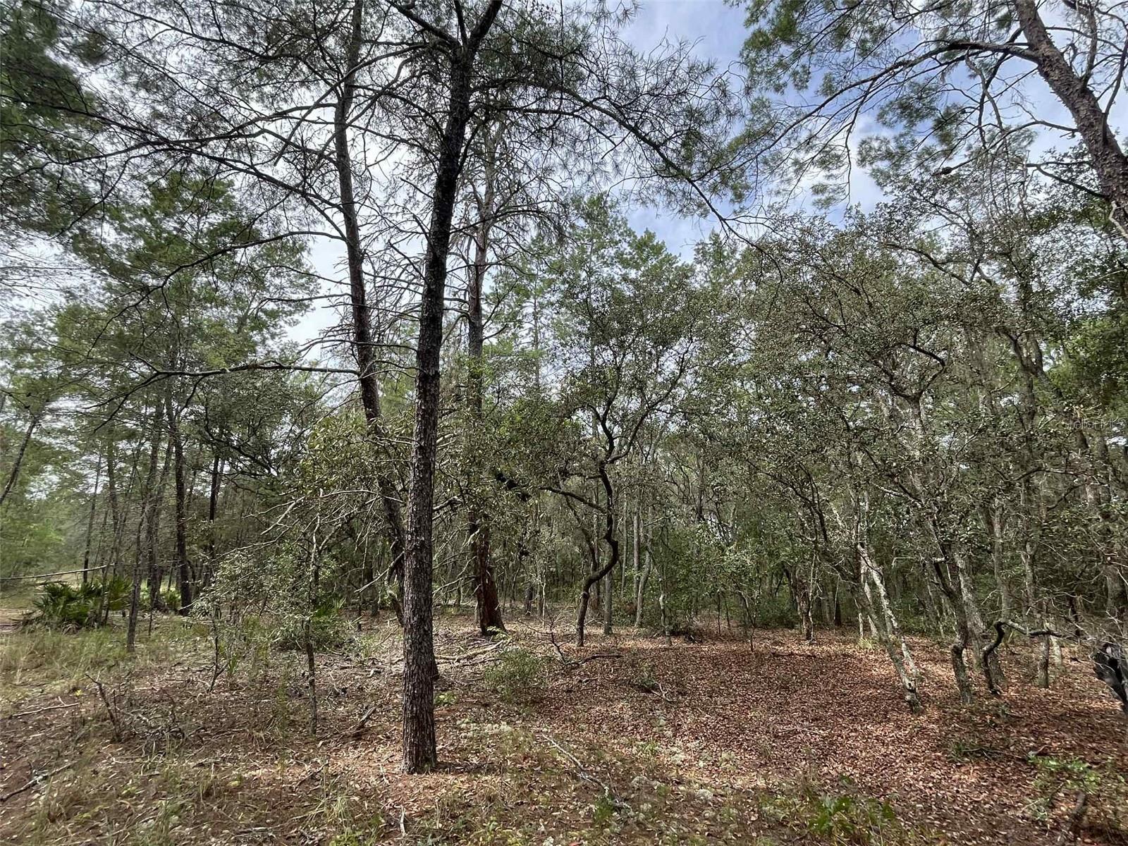 120 & 122 NORTH CAROLINA DRIVE