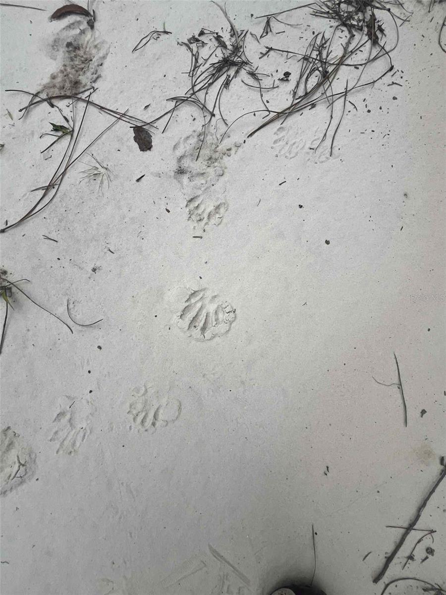 ST JOHNS RIVERSIDE ESTATES - Land