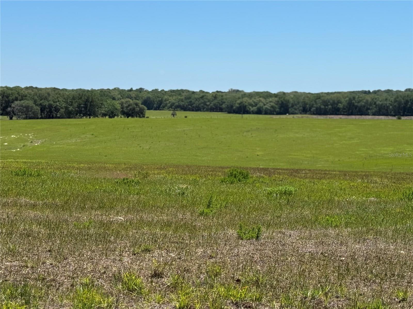 4401 GRIFFIN VIEW DRIVE