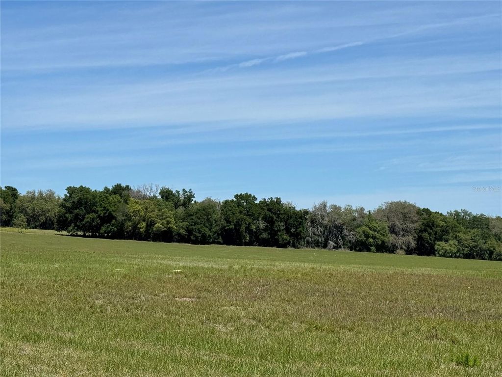 Photo of 4401 Griffin View Drive, Lady Lake, FL 32159 (MLS # W7884969)