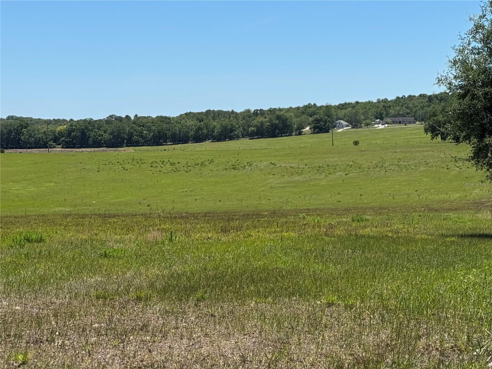 4401 GRIFFIN VIEW DRIVE