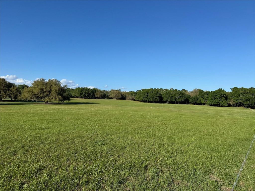 Photo of 4401 Griffin View Drive, Lady Lake, FL 32159 (MLS # W7884969)
