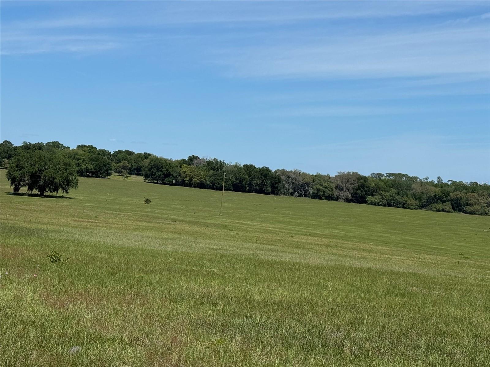 4401 GRIFFIN VIEW DRIVE