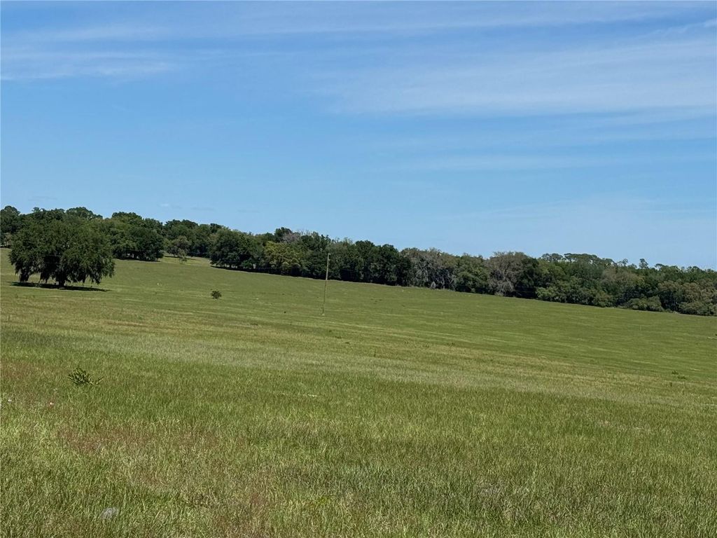 Photo of 4401 Griffin View Drive, Lady Lake, FL 32159 (MLS # W7884969)