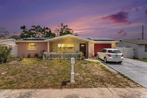1244 CLASSIC DRIVE HOLIDAY FL 34691