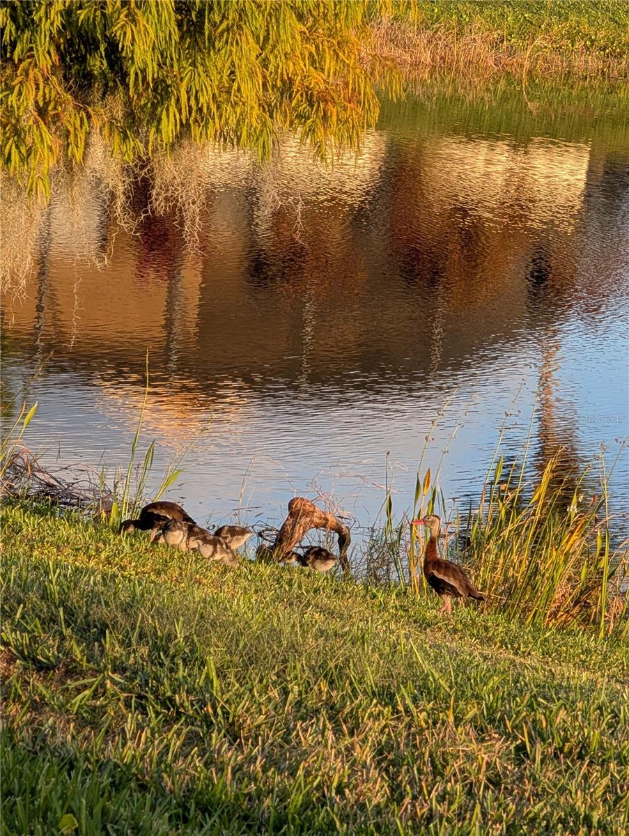 SOLIVITA PH 03A - Residential Lease