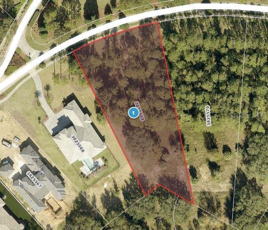 Build your forever home on this flat, wooded preserve homesite in the highly sought-after gated community of Bella Collina. Nestled on a quiet one-way street with a desirable south-facing backyard, this lot provides the ideal setting to design your private retreat and backyard oasis. Choose from seven fully custom builders, with no required timeline to begin construction, giving you complete flexibility to bring your vision to life.

Perfectly located just minutes from Montverde Academy, downtown Winter Garden, and the West Orange bike and walking trails, Bella Collina offers both convenience and tranquility. The Club at Bella Collina features breathtaking views along with Har-Tru tennis courts, pickleball, a resort-style outdoor pool complex, fitness center with 20 complimentary weekly classes, full-service spa, and multiple dining venues. Meet new neighbors while enjoying year-round social and culinary events, or challenge yourself on the Nick Faldo–designed 18-hole championship golf course.

Call today to preview this opportunity and discover all of Bella Collina.