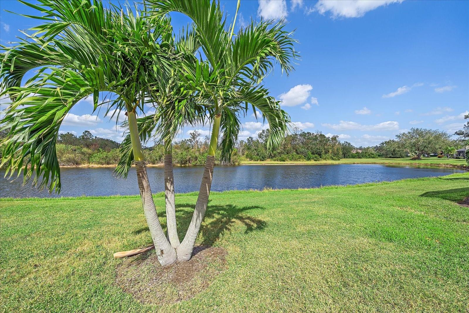 LAKEWOOD RANCH COUNTRY CLUB VILLAGE H - Residential