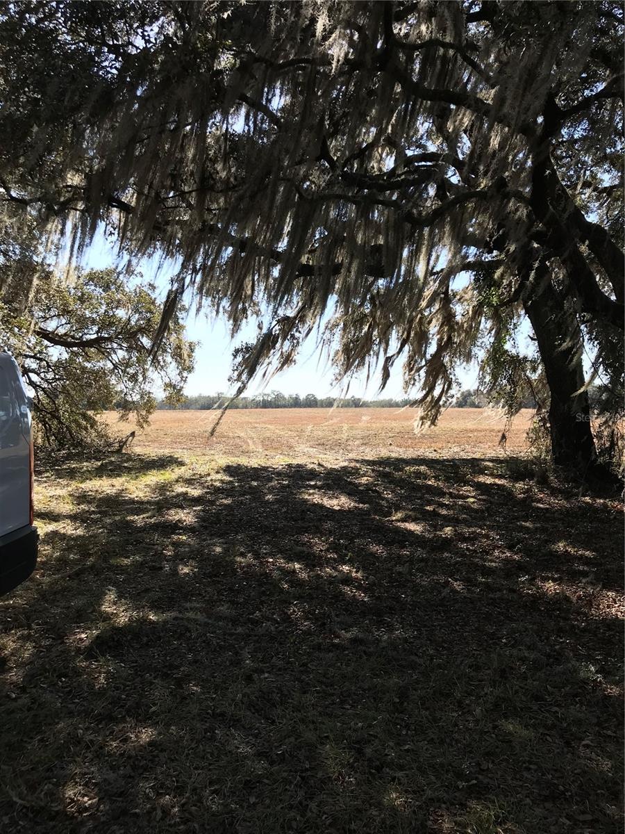 THUNDER RANCH - Land