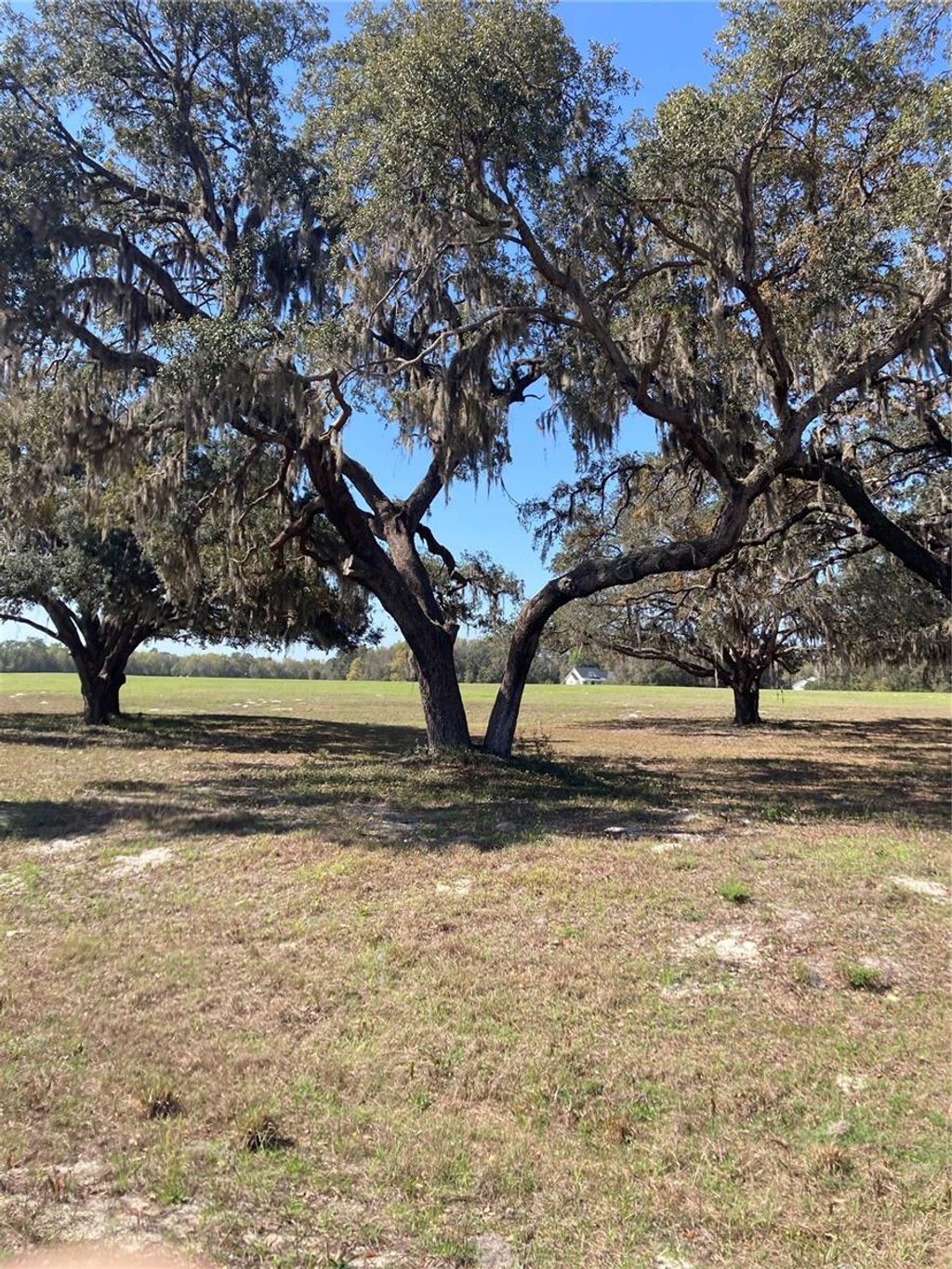 Photo of Tbd NE 56th Court, Anthony, FL 32617 (MLS # OM720647)