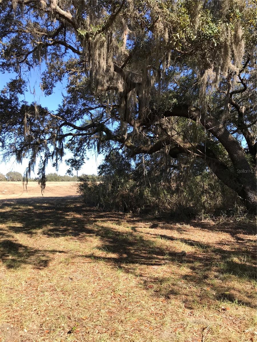 THUNDER RANCH - Land