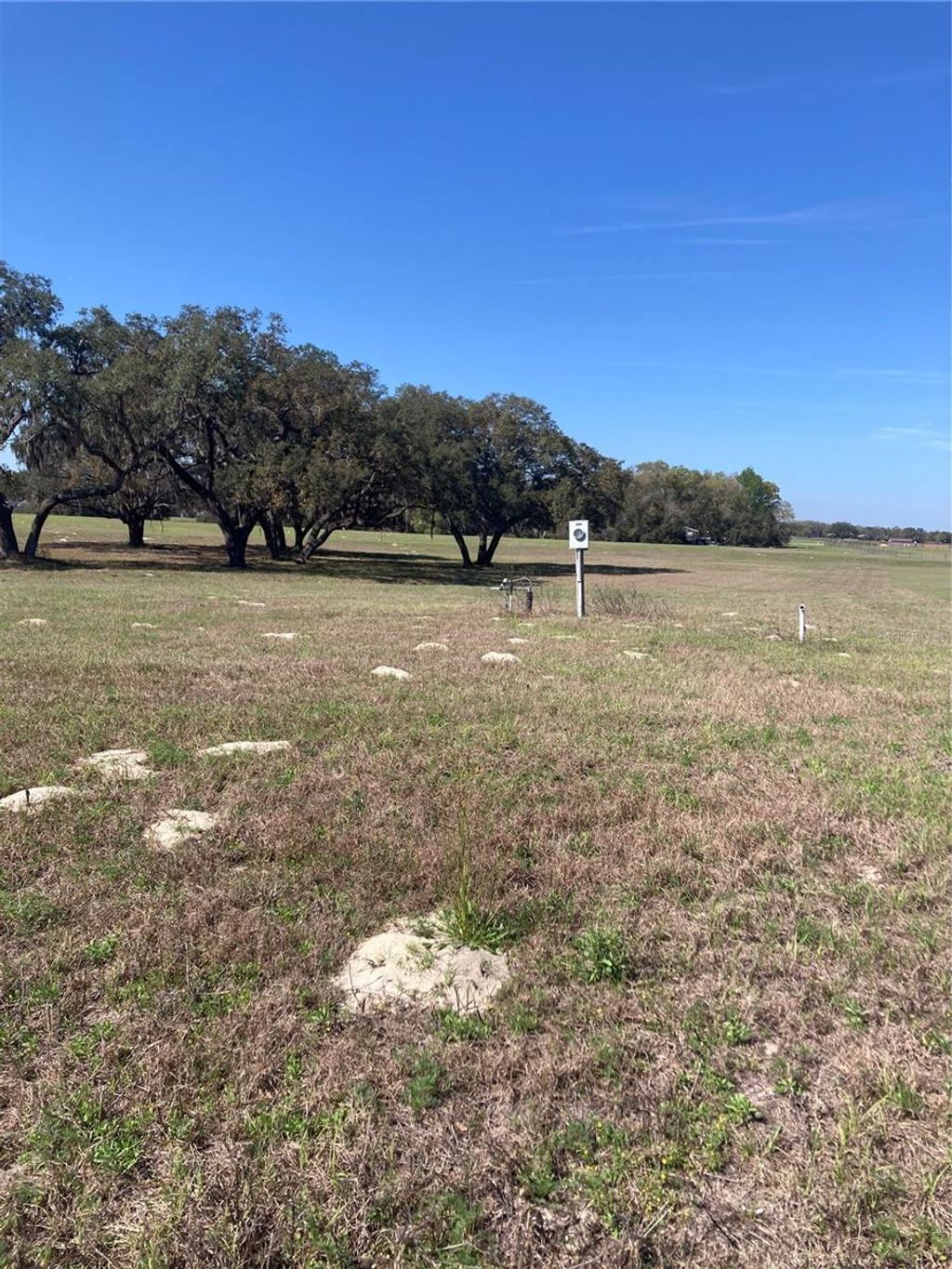 Photo of Tbd NE 56th Court, Anthony, FL 32617 (MLS # OM720647)