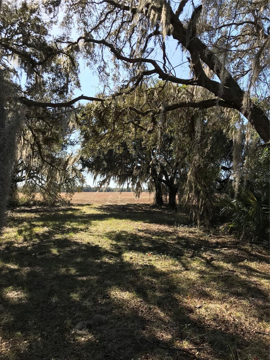 THUNDER RANCH - Land