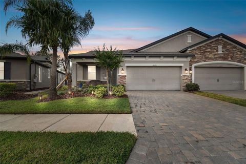 A home in TAMPA