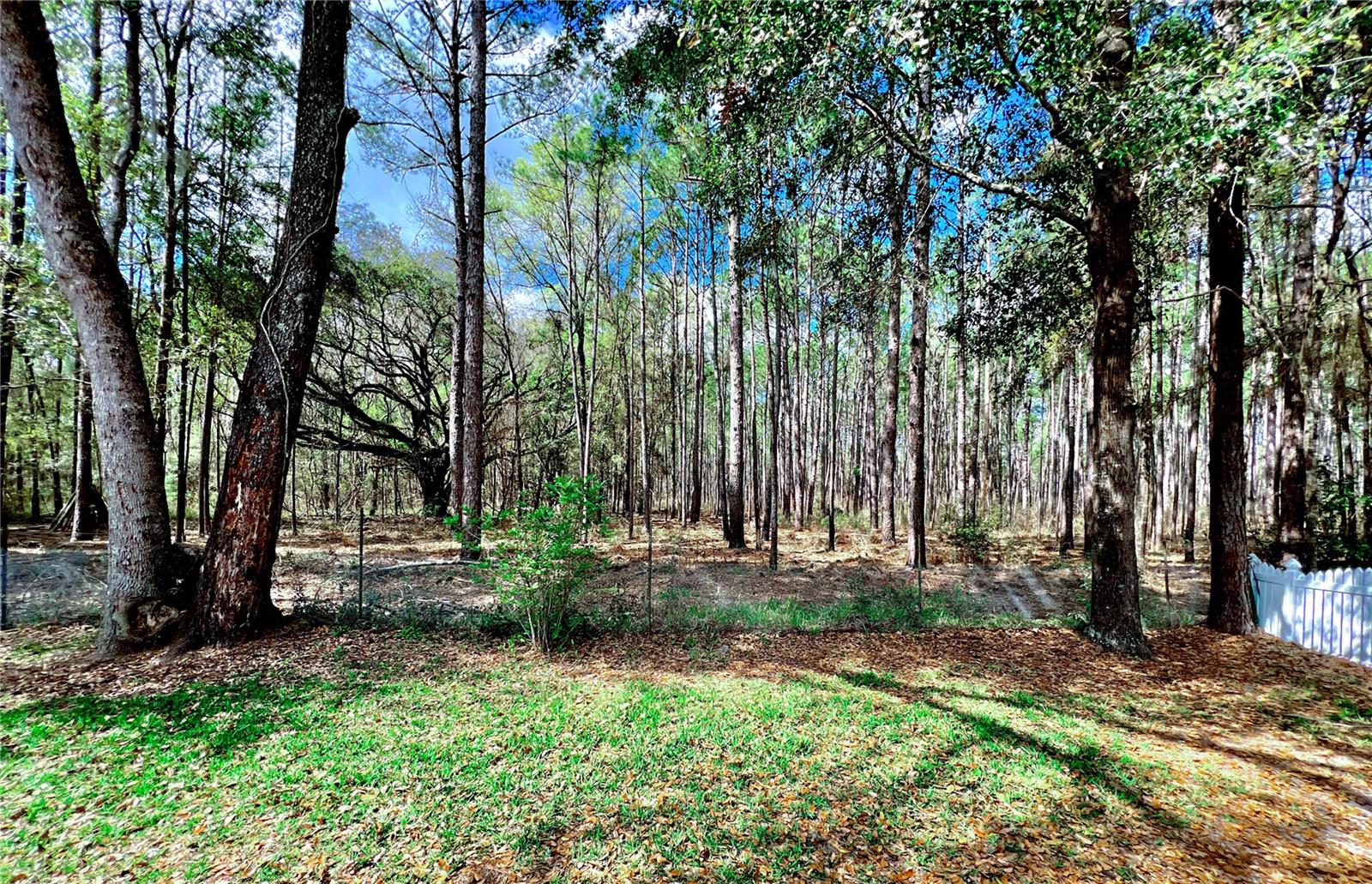 TURKEY CREEK - Residential