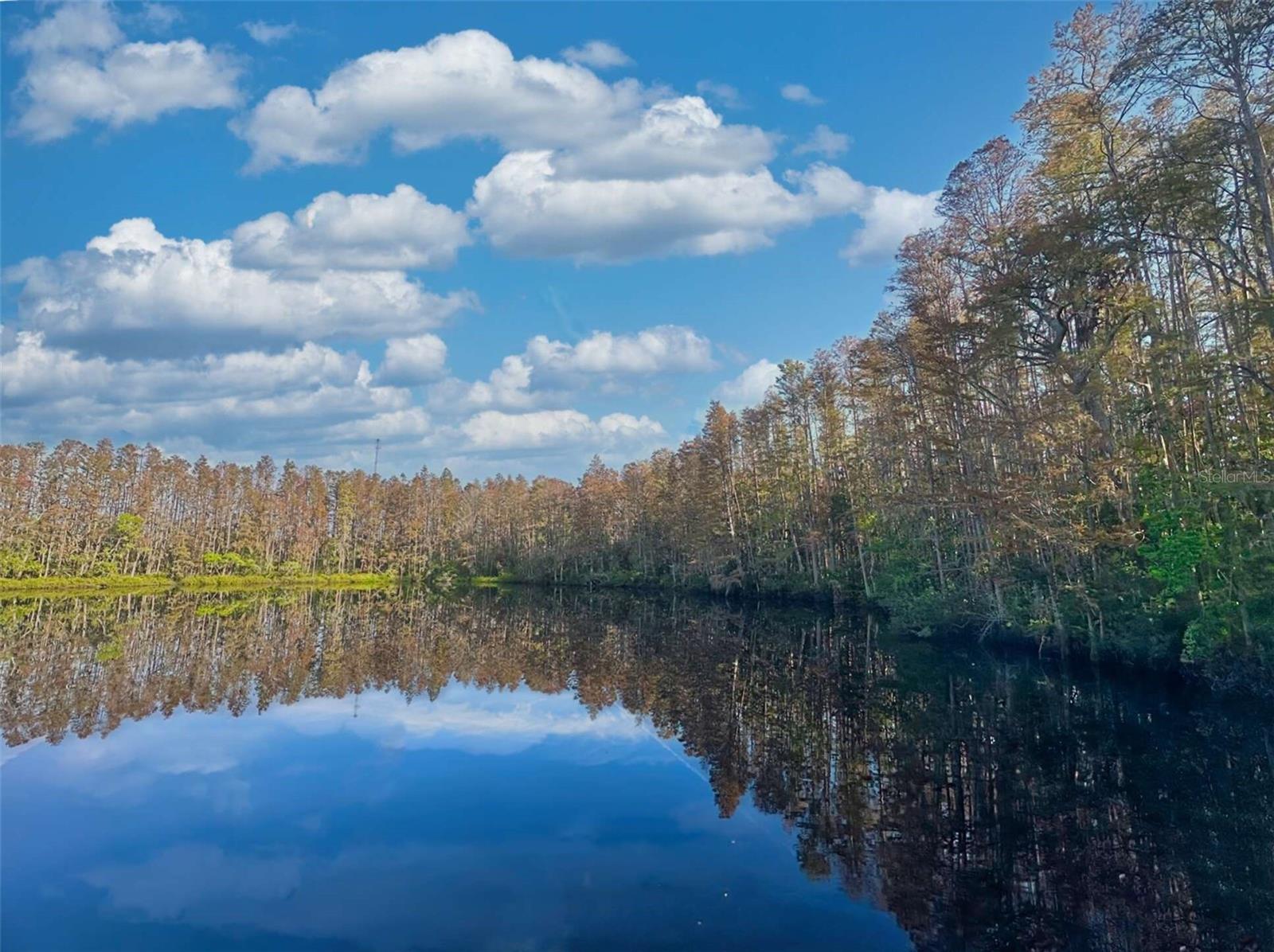 PARADISE LAKES CONDO - Residential Lease