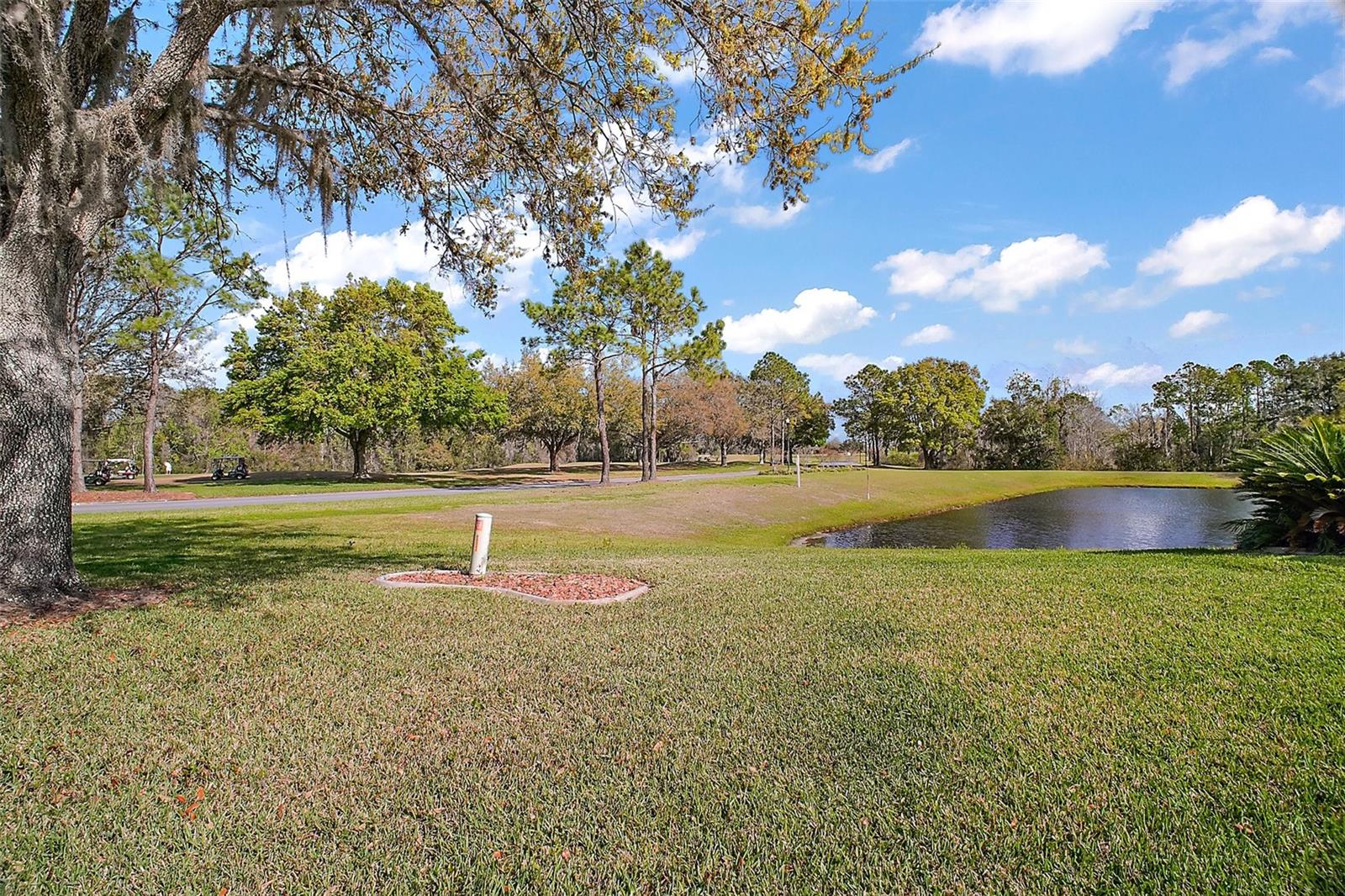 509 GRAND VISTA TRAIL